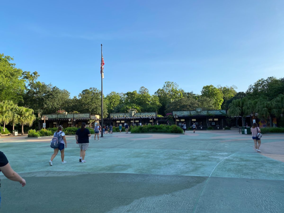 disneys animal kingdom entrance parking lot reopening annual passholder preview 54