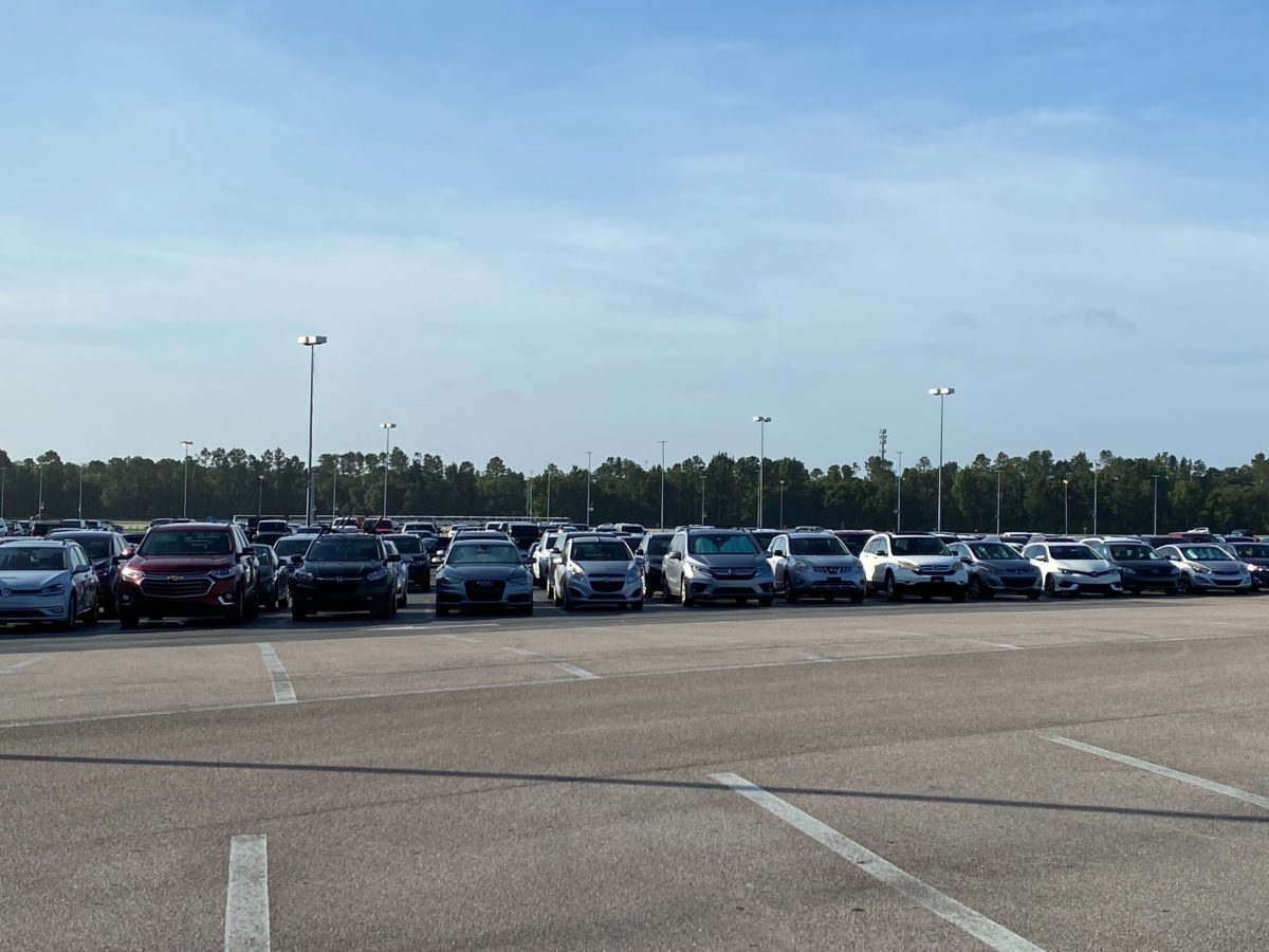 disneys animal kingdom entrance parking lot reopening annual passholder preview 64