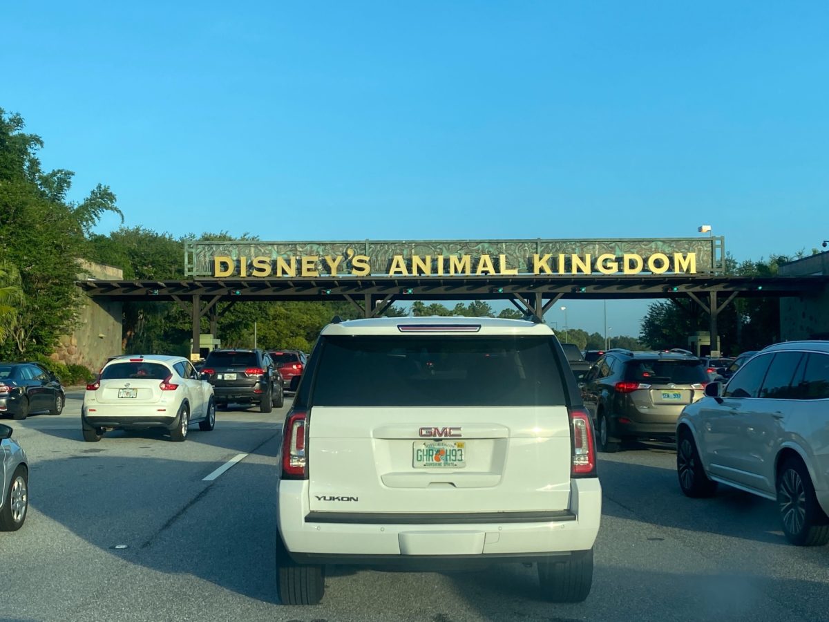 disneys animal kingdom entrance parking lot reopening annual passholder preview 7