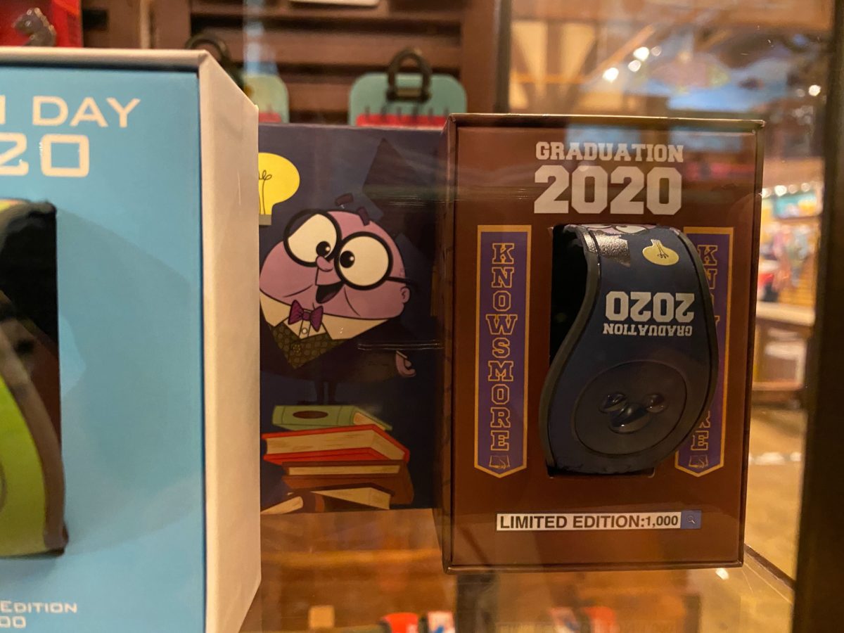 earth day mothers day 2020 limited edition magicbands discovery trading company disneys animal kingdom 3