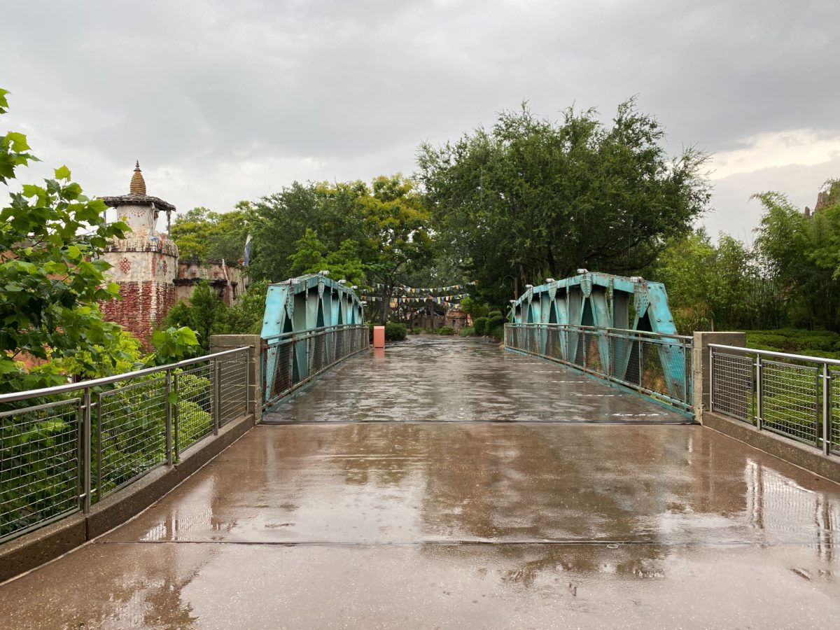 expedition everest reopens disneys animal kingdom 1