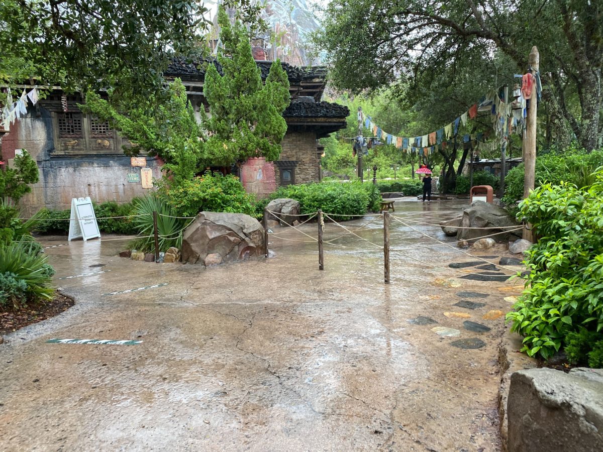 expedition everest reopens disneys animal kingdom 10