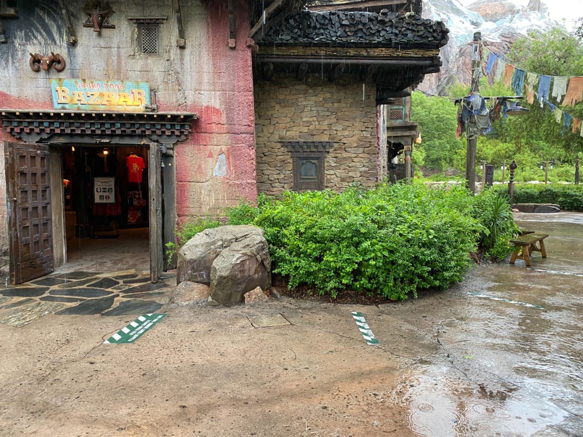 expedition everest reopens disneys animal kingdom 11