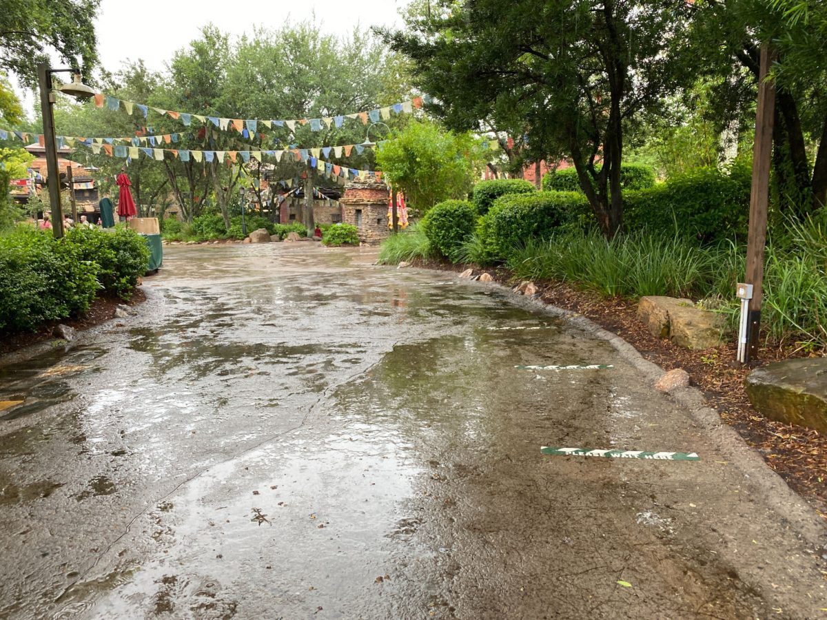 expedition everest reopens disneys animal kingdom 3