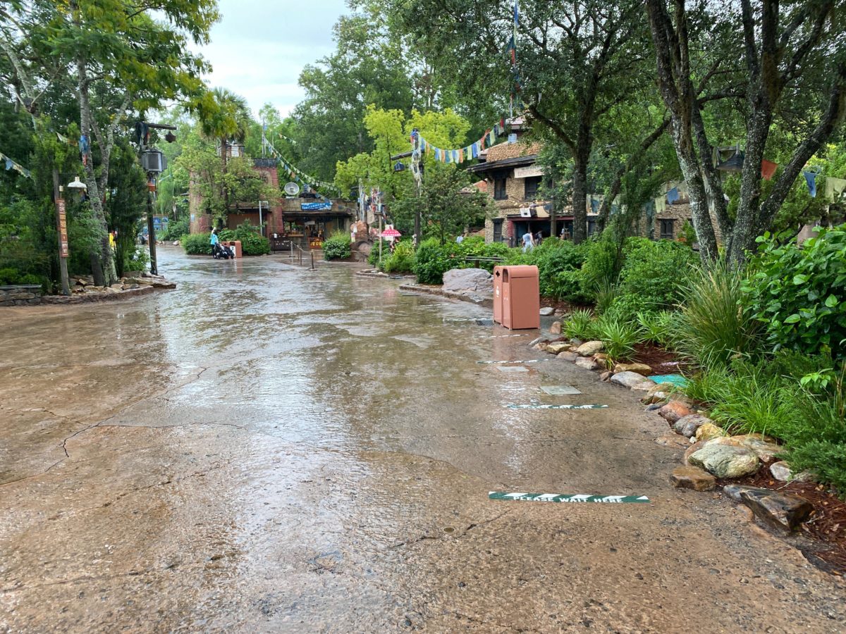 expedition everest reopens disneys animal kingdom 5