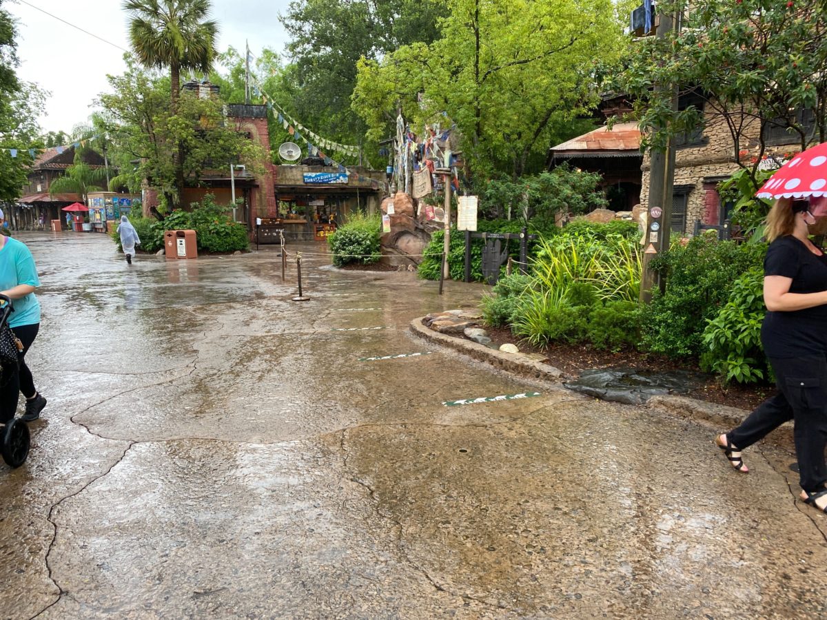 expedition everest reopens disneys animal kingdom 6