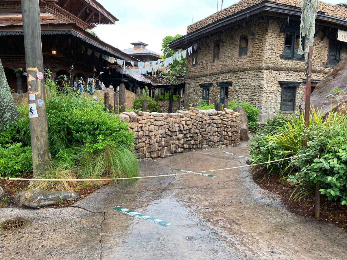 expedition everest reopens disneys animal kingdom 8