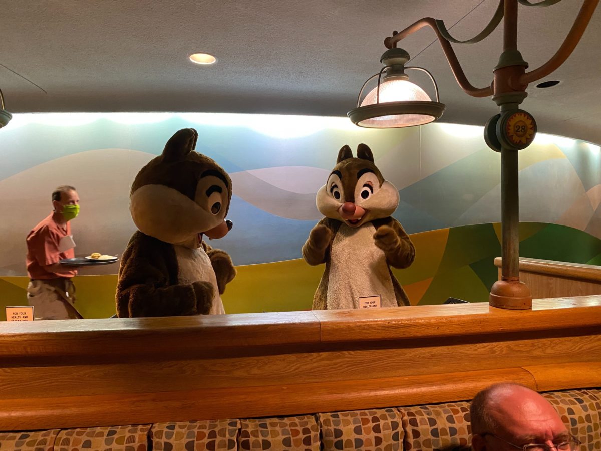 garden grill reopening epcot chip n dale