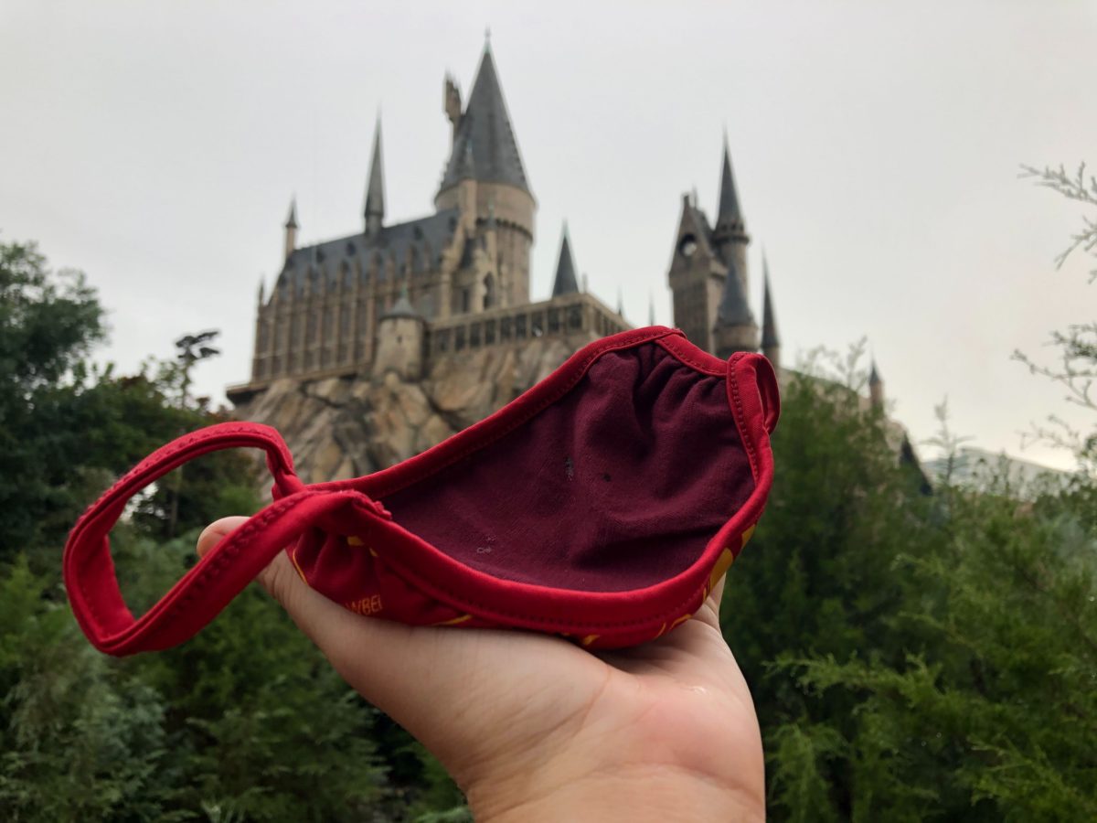 harry potter gryffindor face mask 4