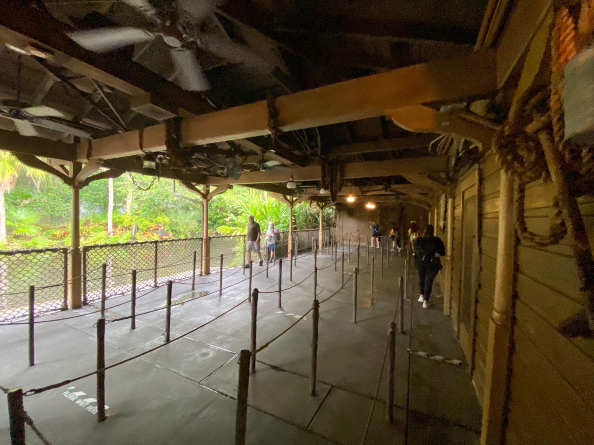 jungle cruise reopening