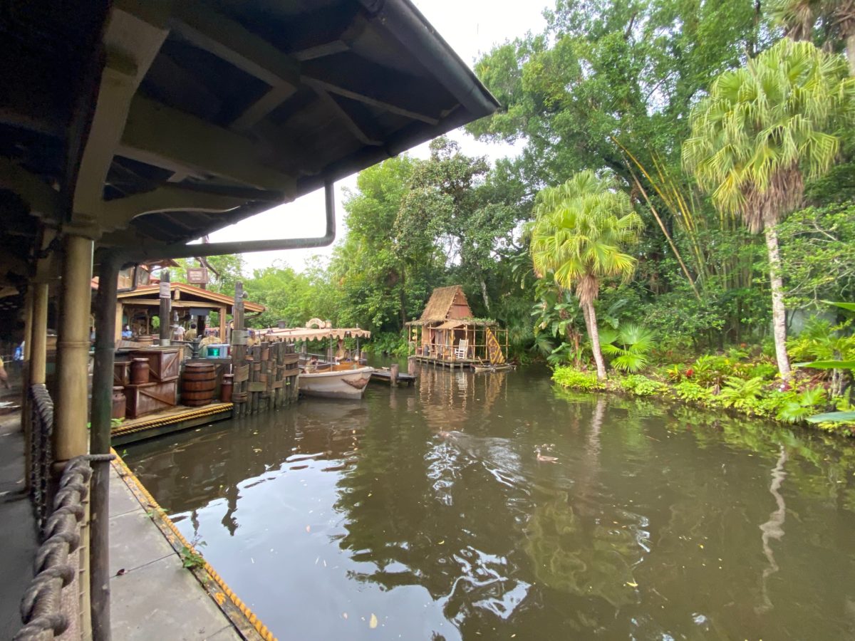 jungle cruise reopening