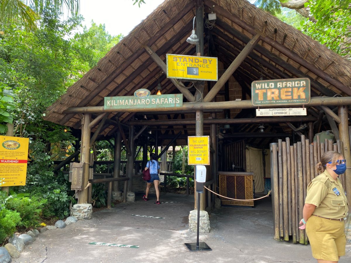 kilimanjaro safaris