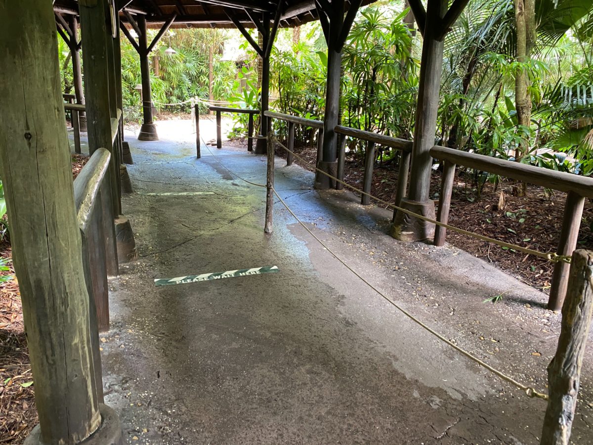 kilimanjaro safaris social distancing