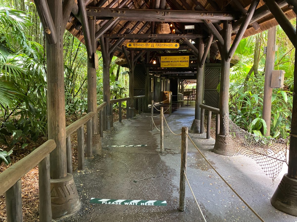 kilimanjaro safaris social distancing