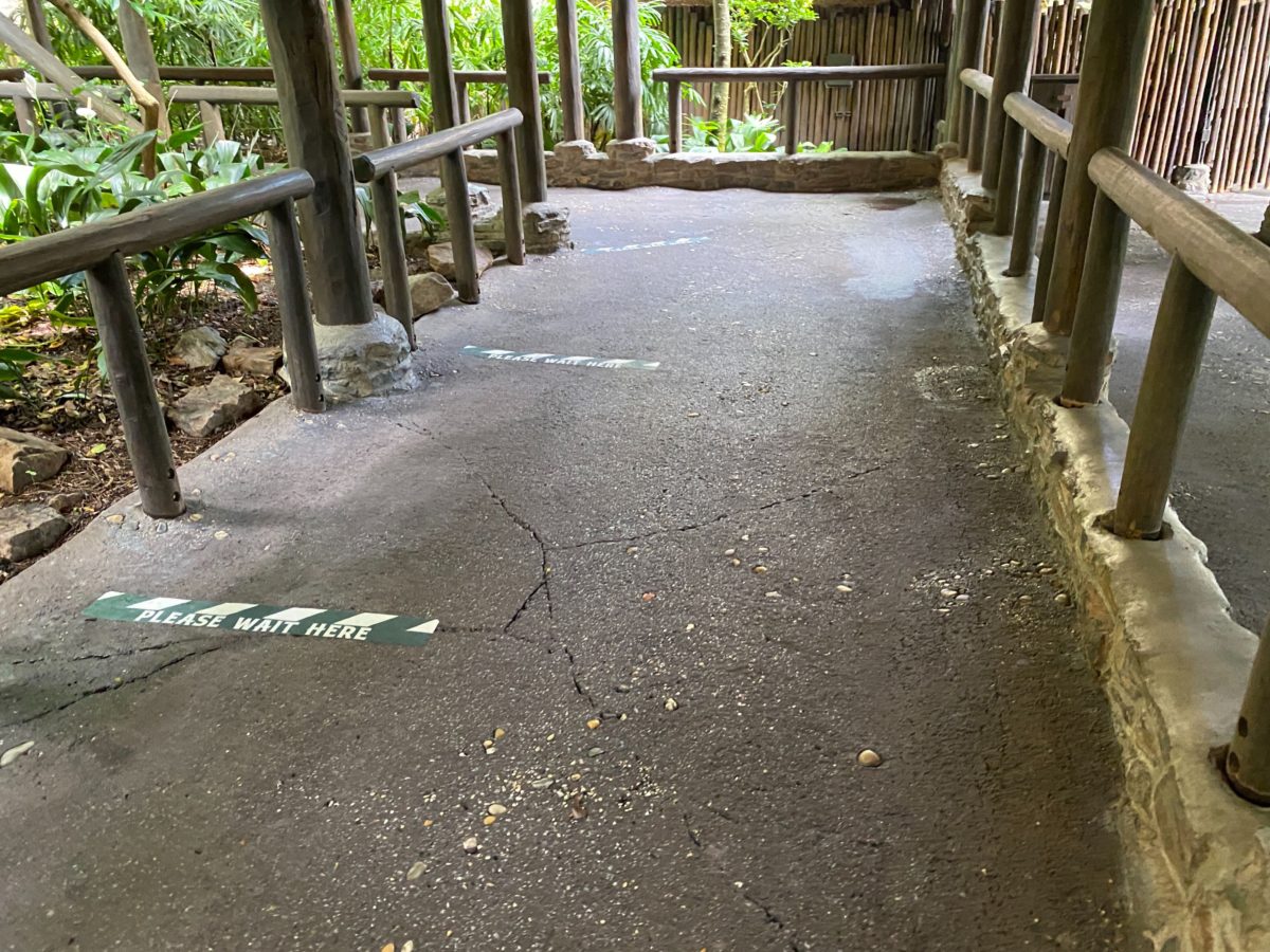 kilimanjaro safaris social distancing