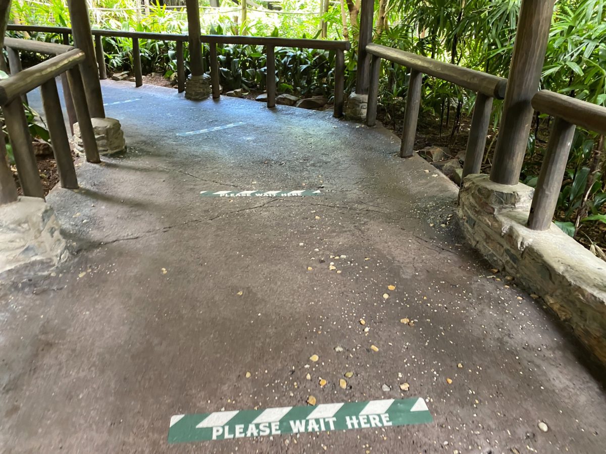 kilimanjaro safaris social distancing