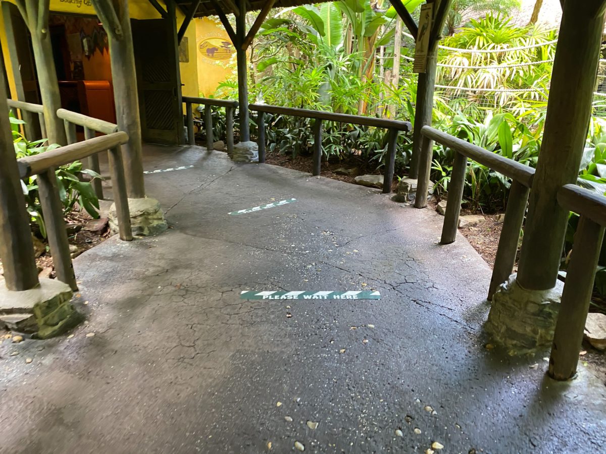 kilimanjaro safaris social distancing