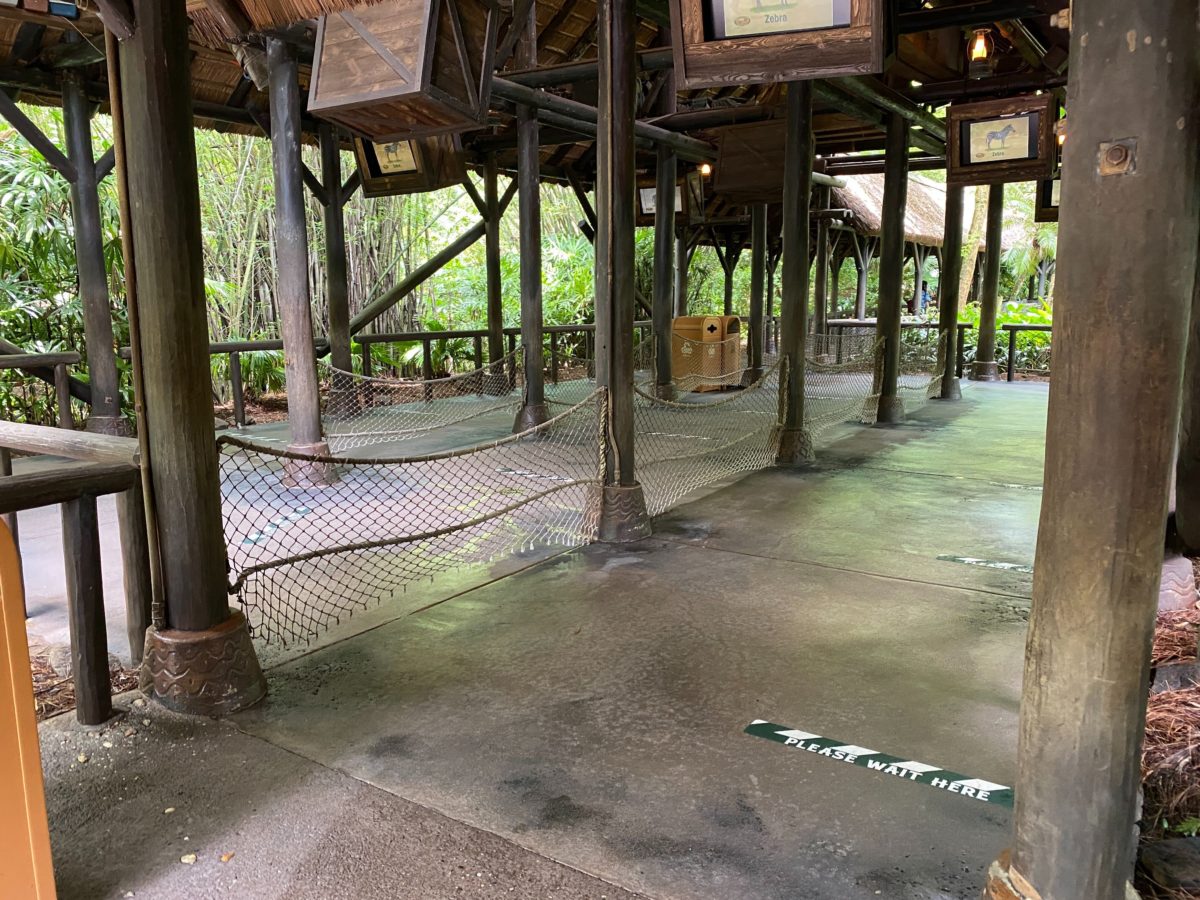 kilimanjaro safaris social distancing