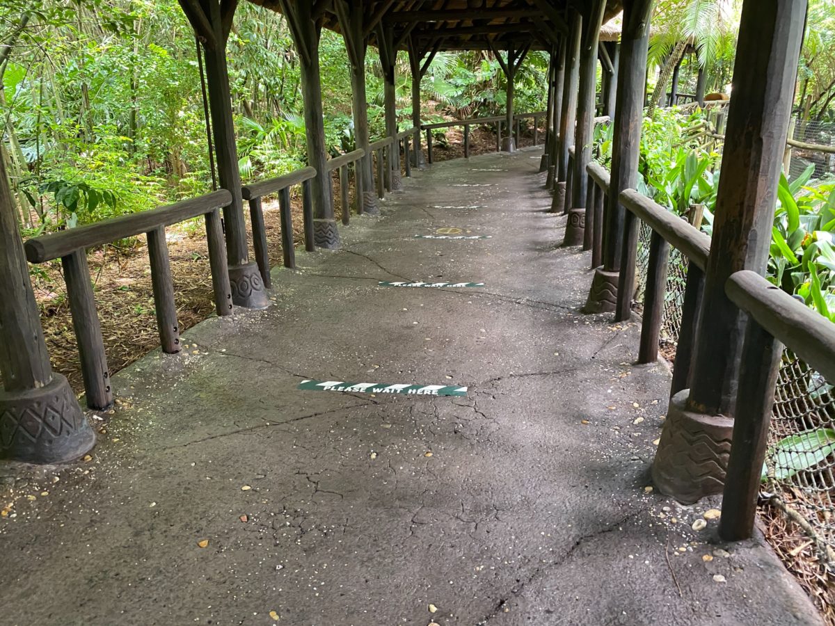 kilimanjaro safaris social distancing