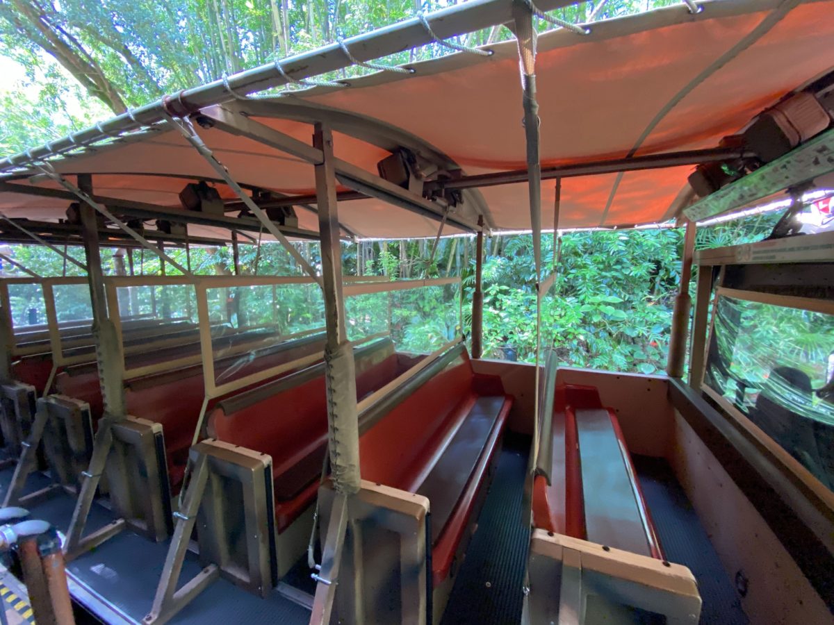 kilimanjaro safari reopening 4