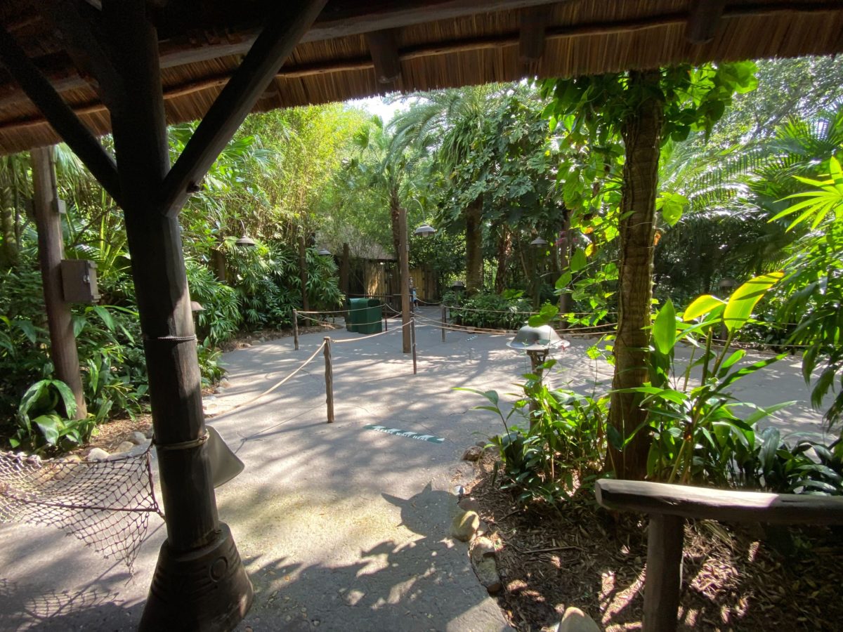 kilimanjaro safari reopening 9