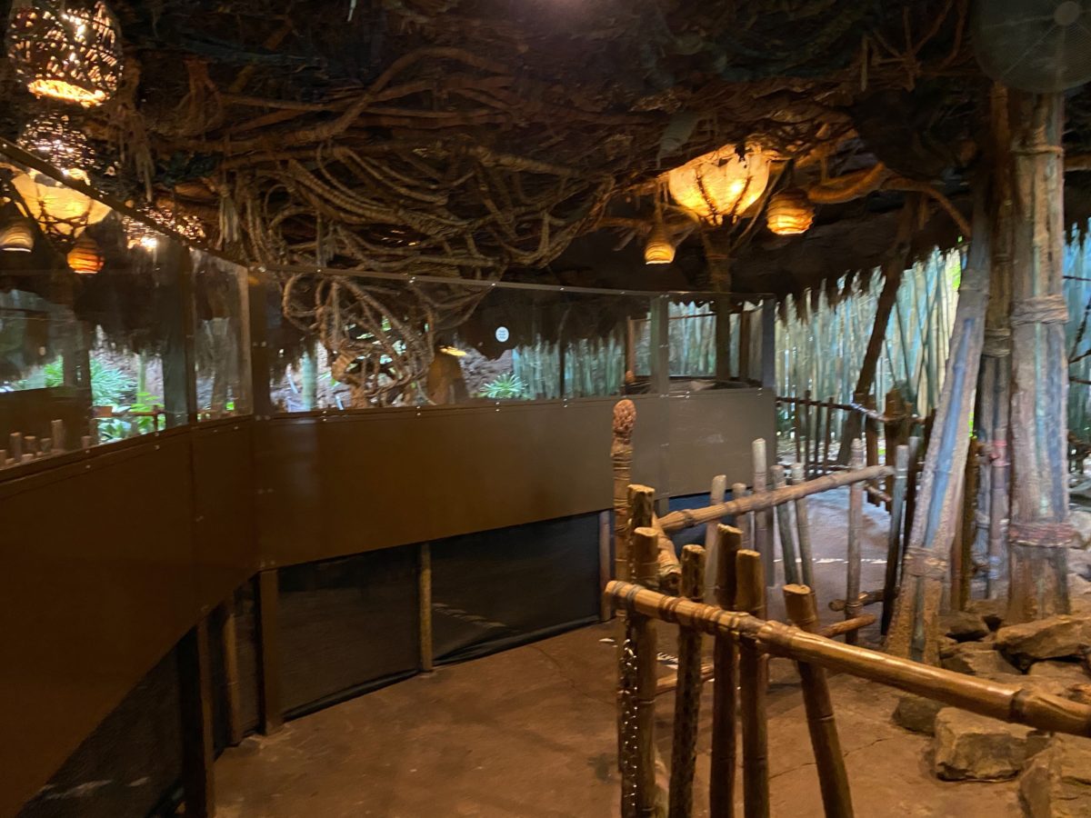 navi river journey reopens disneys animal kingdom 1