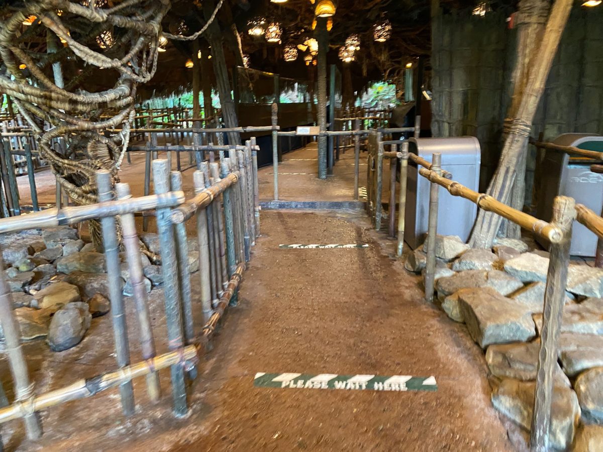 navi river journey reopens disneys animal kingdom 6