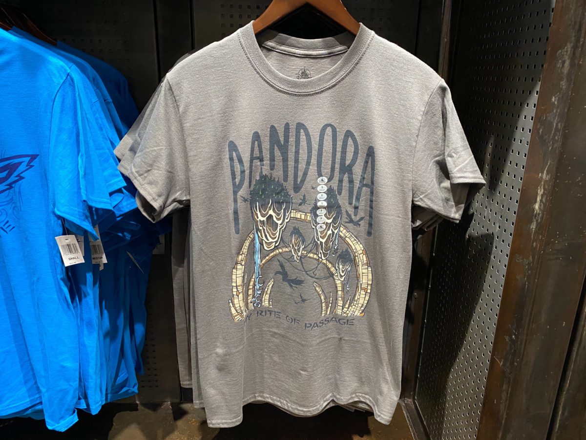 Pandora Floating Mountains Shirt - $24.99