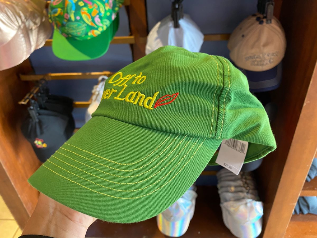 neverland hat peter pan