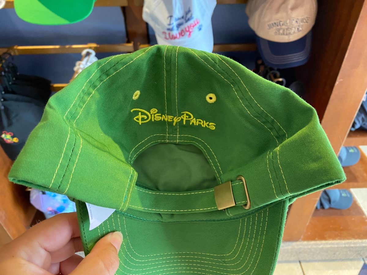 neverland hat peter pan