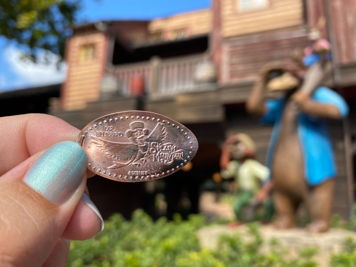 splash mountain frontierland big thunder mountain railroad splashdown photos magic kingdom 14