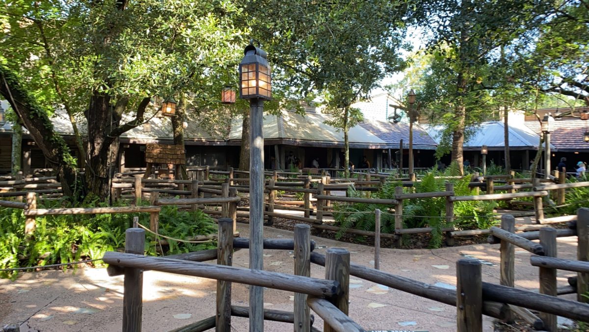 splash mountain reopens magic kingdom 8