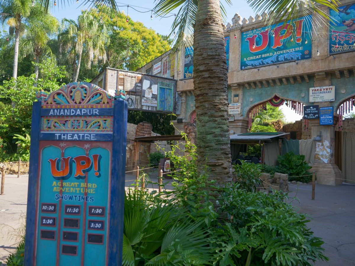 up bird adventure sign