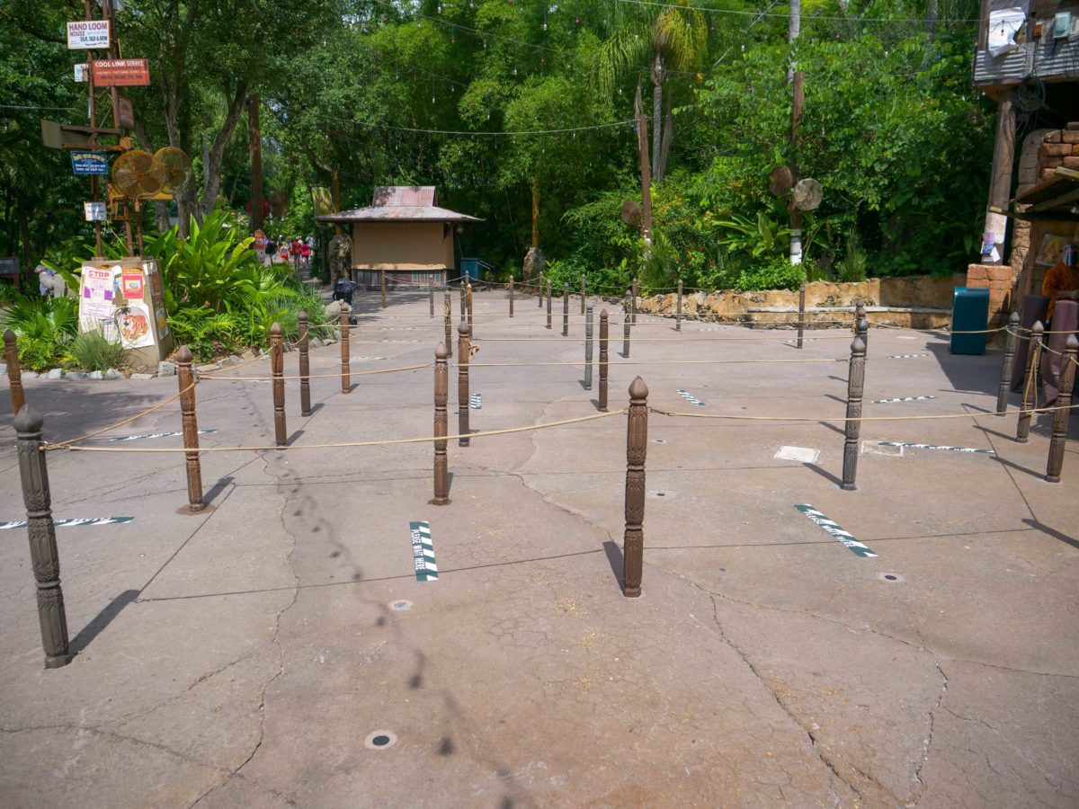 Animal Kingdom Reopening Up Show