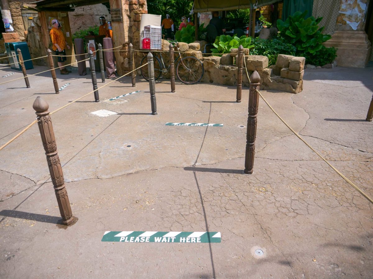 Animal Kingdom Reopening Up Show