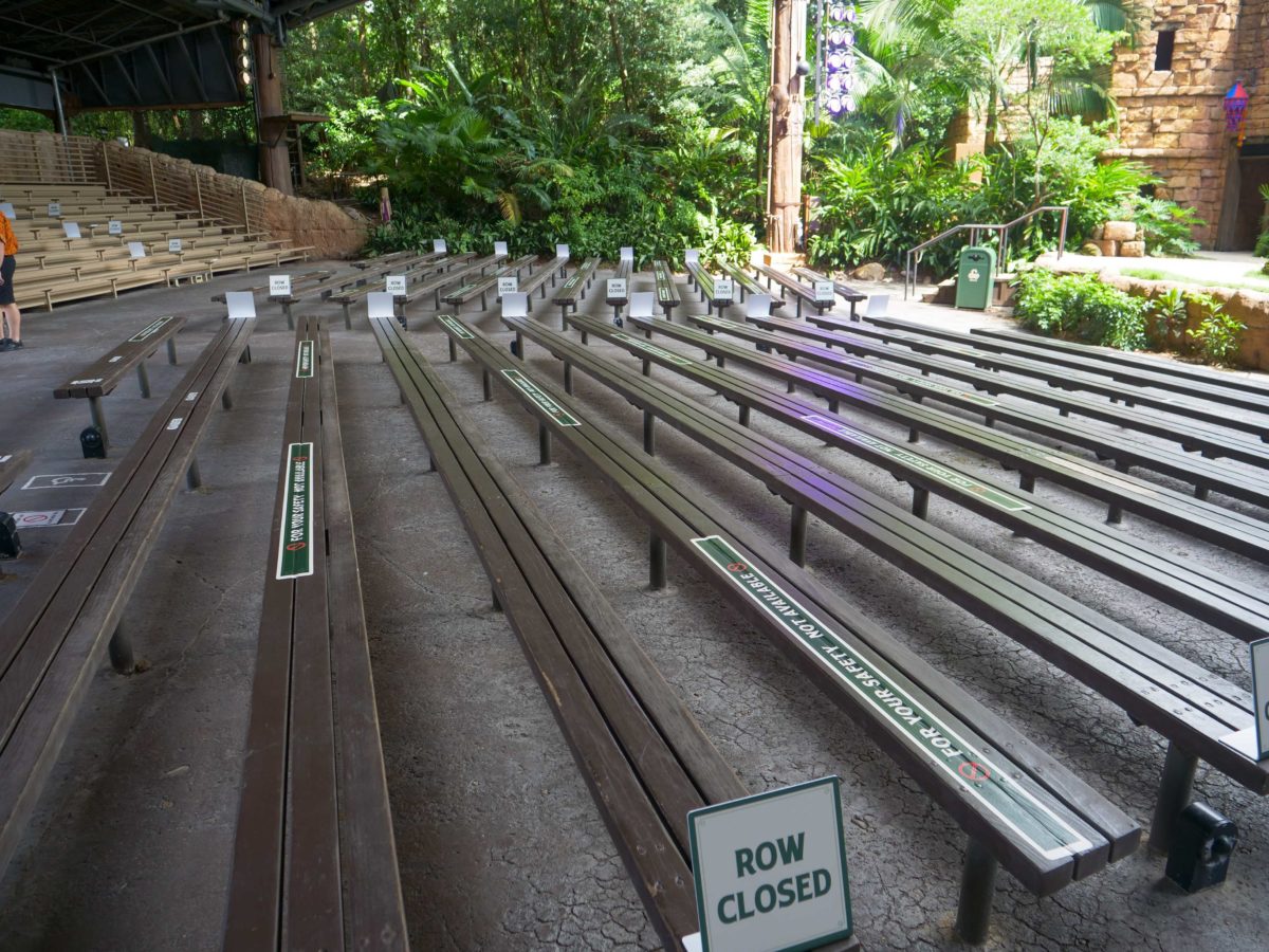 Animal Kingdom Reopening Up Show