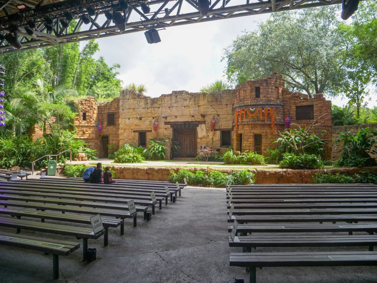 Animal Kingdom Reopening Up Show