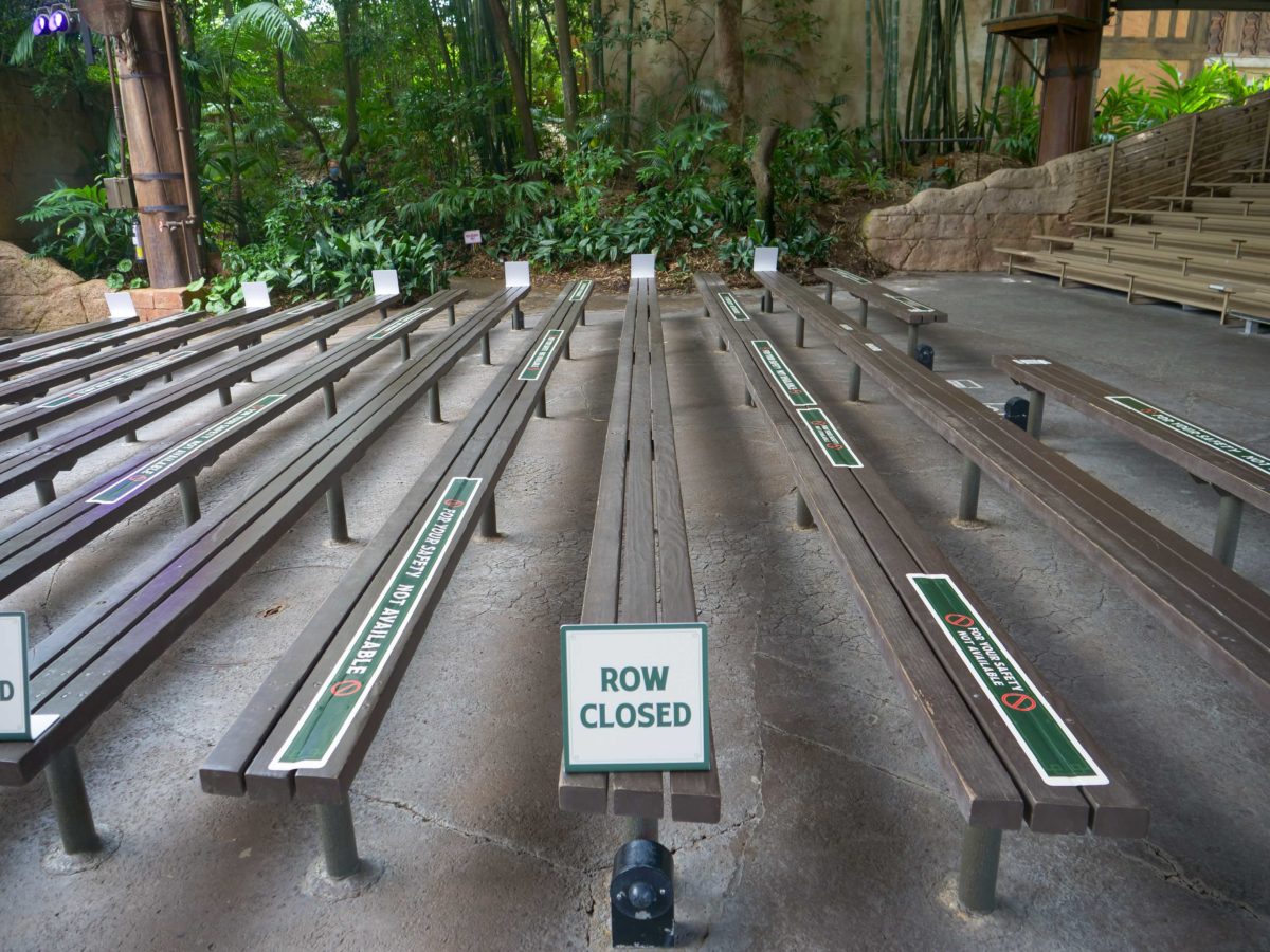 Animal Kingdom Reopening Up Show