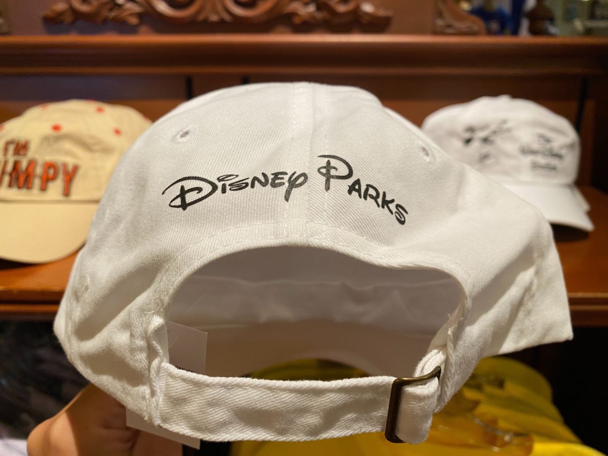Walt Disney Studios Hat - $24.99